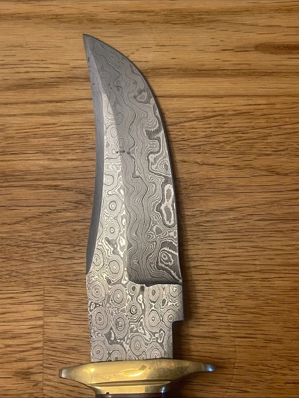 Damascus Blade Fixed Knife with Ivory-Tone and Blue Handle Accents